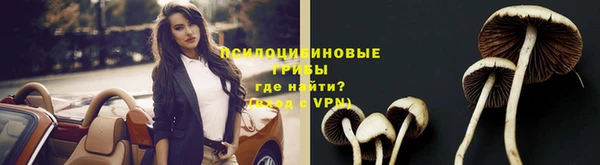 гашиш Новодвинск