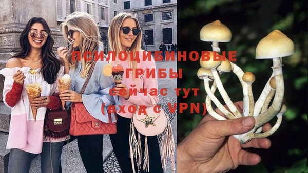 гашиш Новодвинск