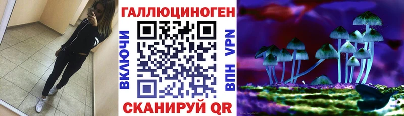 omg вход  купить  цена  Сорск  Псилоцибиновые грибы Magic Shrooms 